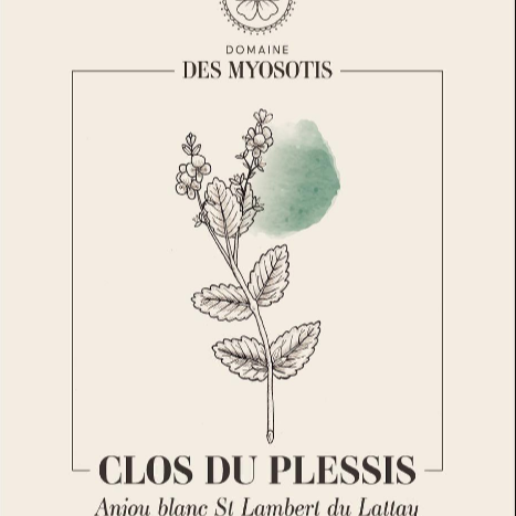Domaine Des Myosotis | RAW WINE